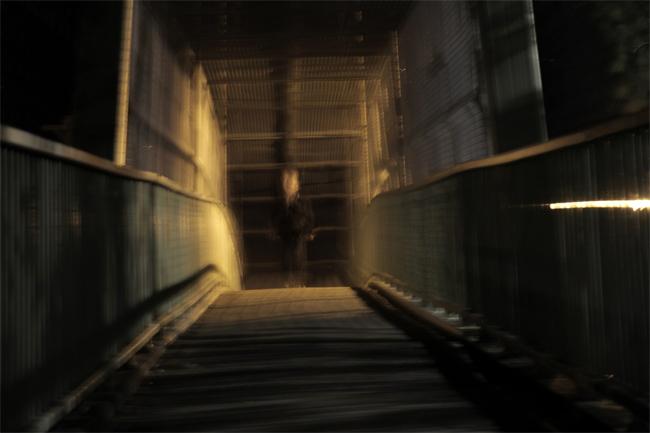 Замд нь харагддаг хүүгийн сүнс хүү нь болж төржээ